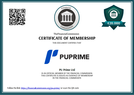 Pu Ptime LTD