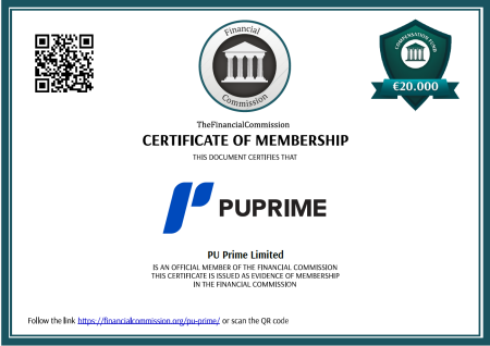 Pu Ptime Limited